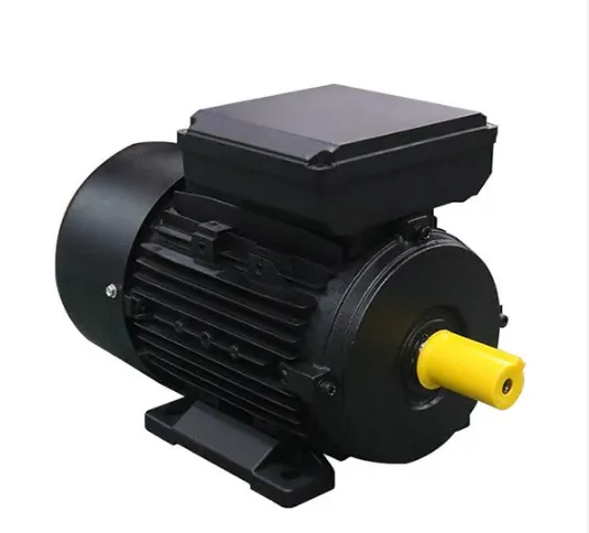 Ml Series Capacitor Start and Capacitor Run Single Phase Electric Motor