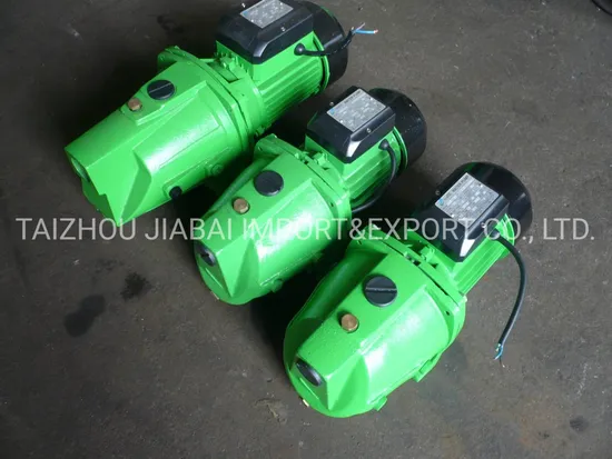 Self-Priming Jsw1be Jsw1CE Jsw3bh Jsw3cl Jsw10m Jet Water Pump