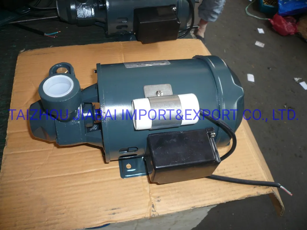 Pm16 Factory Directly Copper Wire Brass Impeller Electrical Peripheral Pump