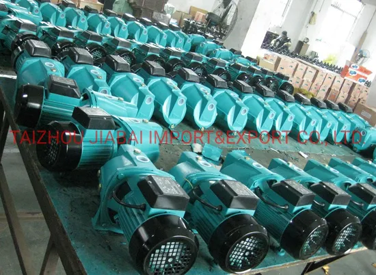 OEM ODM 10j/Jsw10m Jet Pump Self-Priming Jet/ Centrifugal Electric Water Pump for Deep Wells or Agriculture