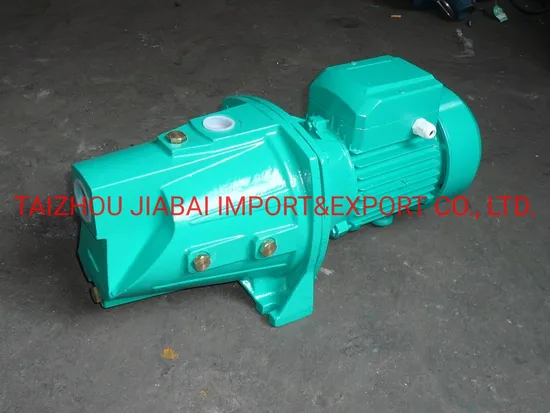 1HP Electric Motor Iron Casting High Pressure Agriculture Immigration Surface Jet Water Pump