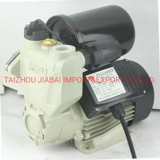 Pond Irrigation Self-Priming Auto Water Pump with Terminal Block
