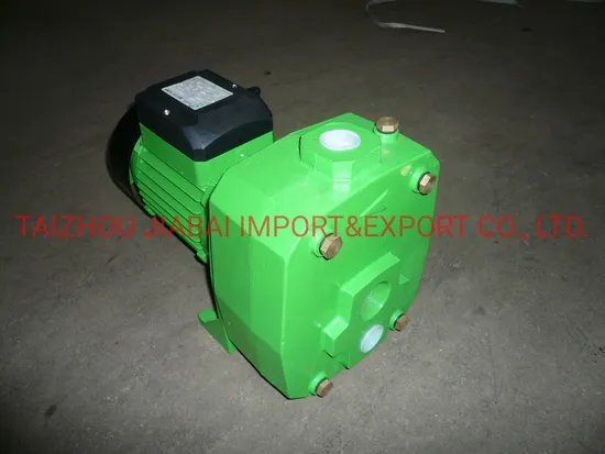 Self-Priming Jet Pump (JDP-255A)